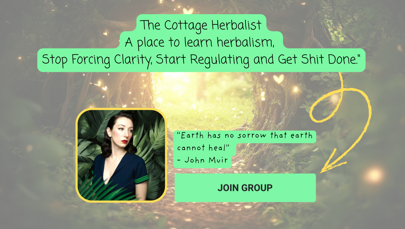 Somatic Herbalsim cover