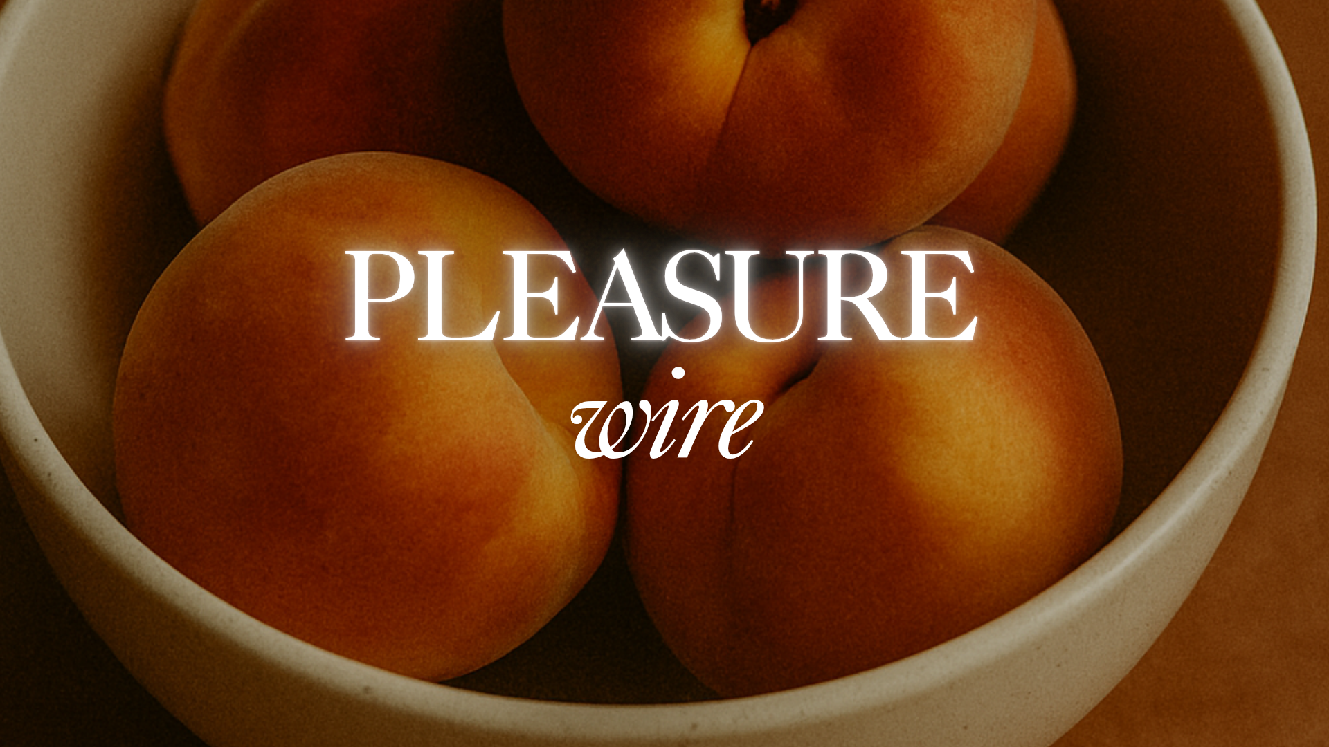 The Pleasure Wire cover