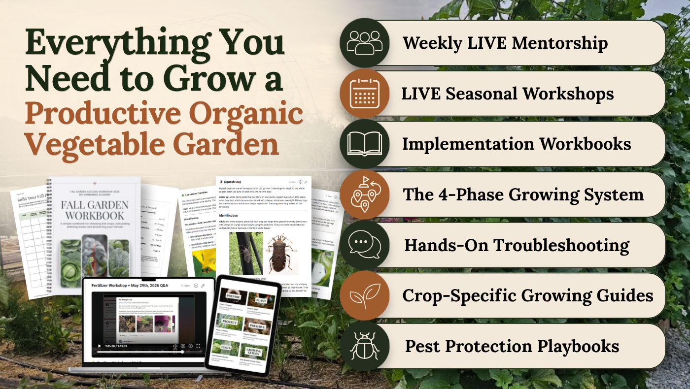 Organic vegetable garden program features: mentorship, workshops, workbooks, growing system, troubleshooting, crop guides, pest playbooks.