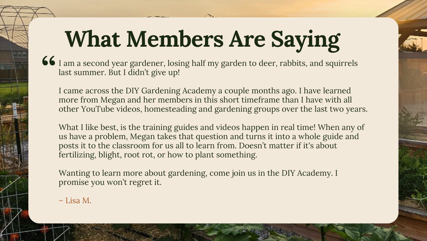 Testimonial from Lisa M. praising DIY Gardening Academy by Megan, set against a garden background at sunset.
