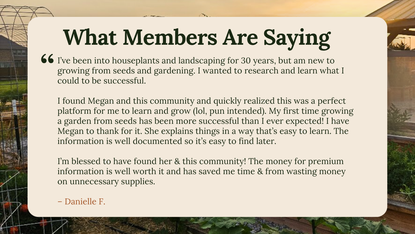 DIY Gardening 6