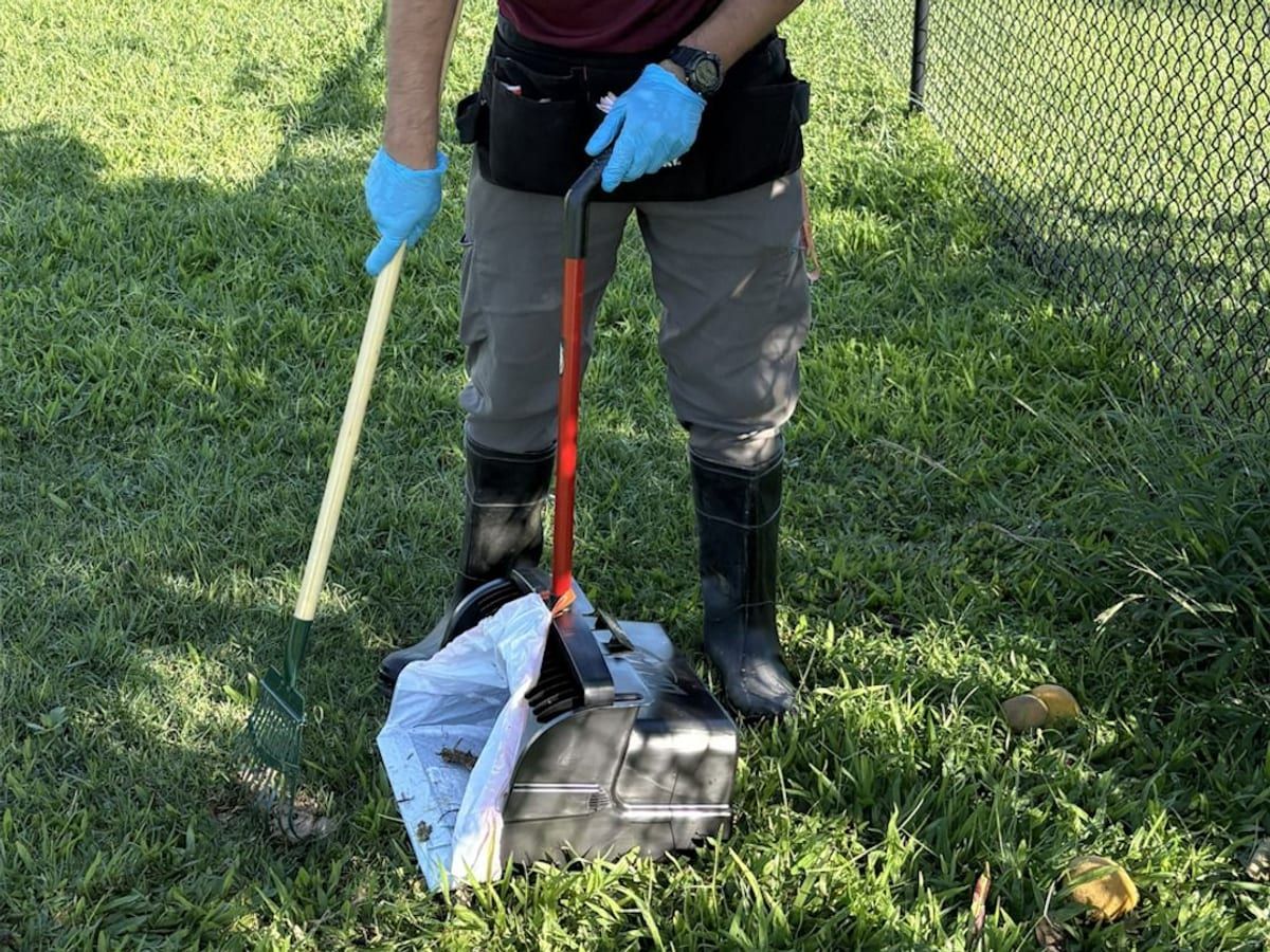 A scooper in gloves and boots holding a rake and a dustpan on a fenced grass yard.