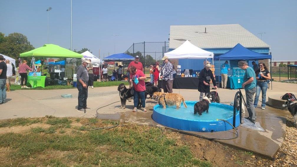 Dogs cooling off in a splash pool at a community dog event, with vendor tents and people in the background.