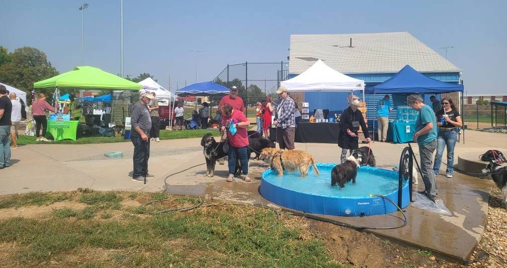 Dogs cooling off in a splash pool at a community dog event, with vendor tents and people in the background.