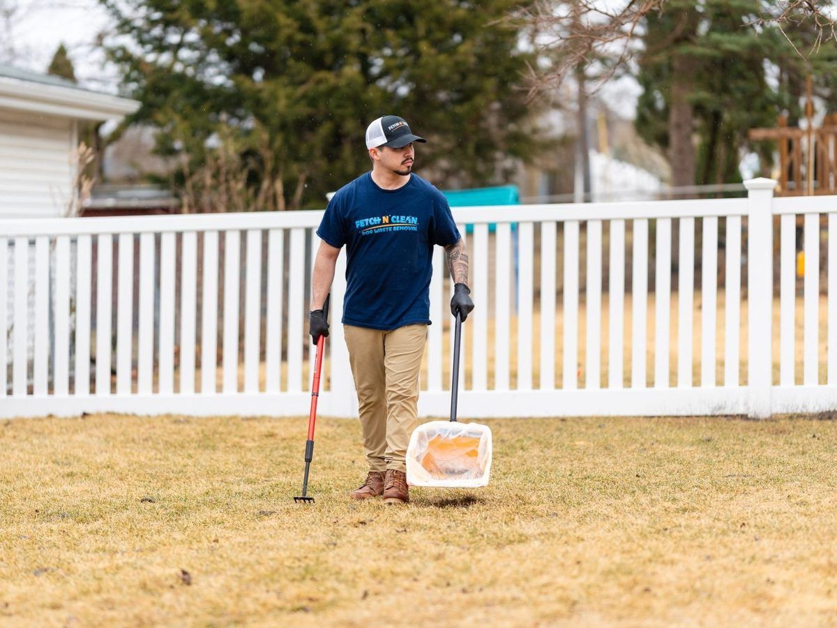 A Fetch N Clean technician scooping a backyard by a white fence