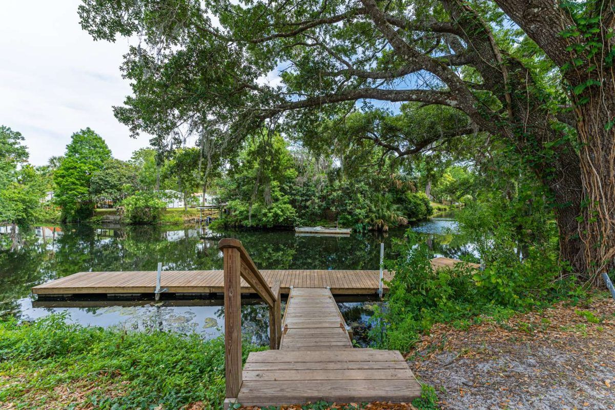 A wooden dock on the canal under a big oak