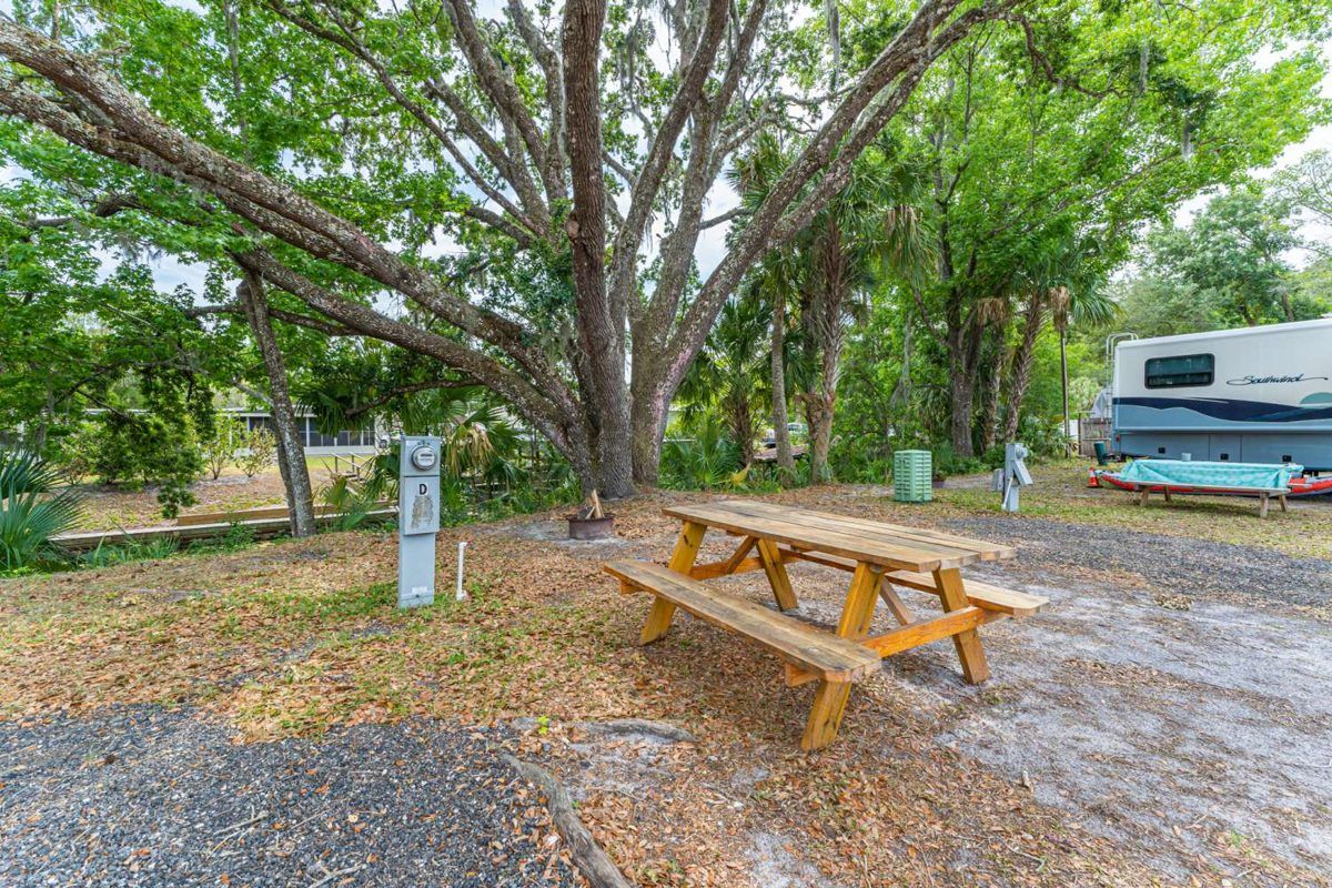An RV site with a picnic table under a spreading oak