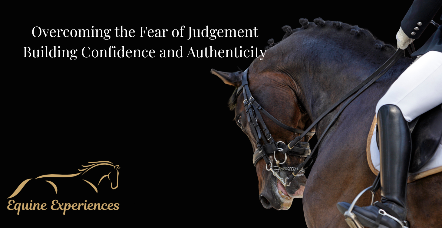 Equine Experiences 1