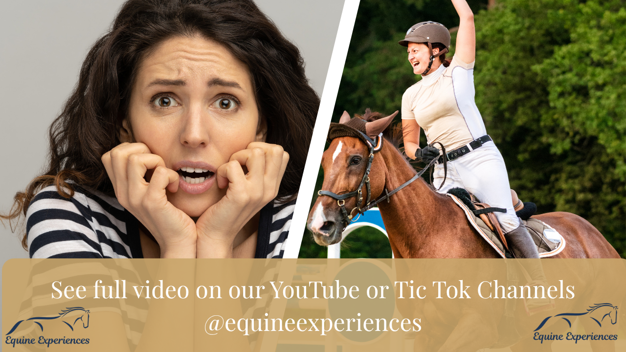 Equine Experiences 4