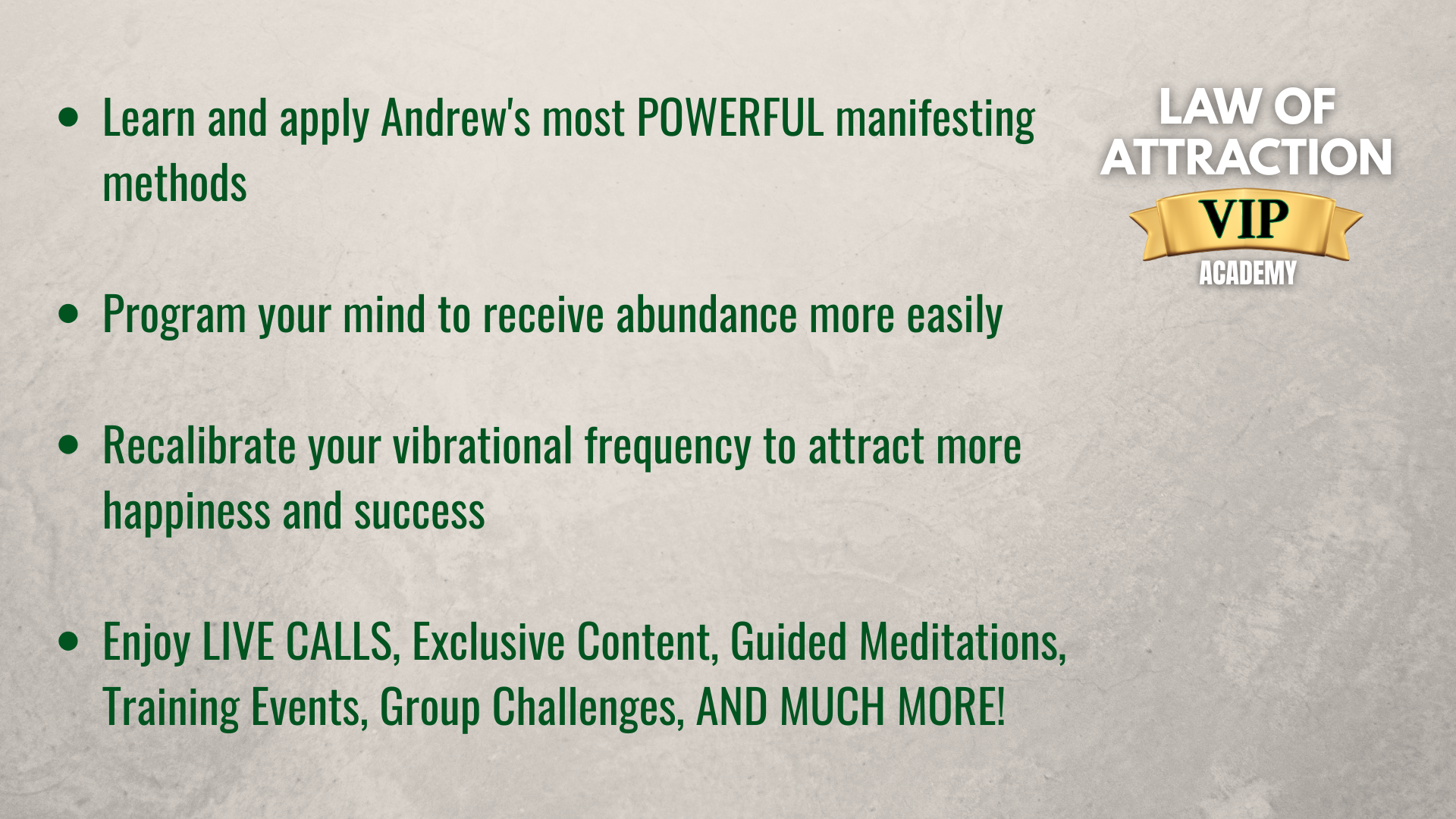 Law of Attraction VIP Academy 2