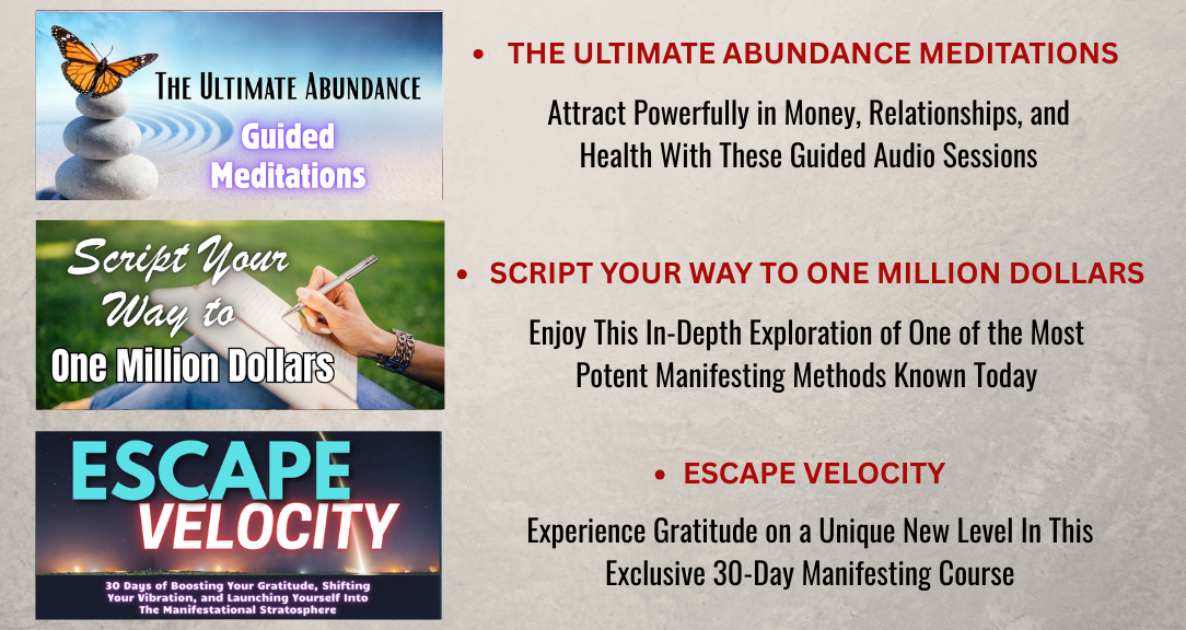 Law of Attraction VIP Academy 4